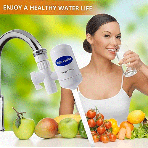 SWS Mini Water Purifier